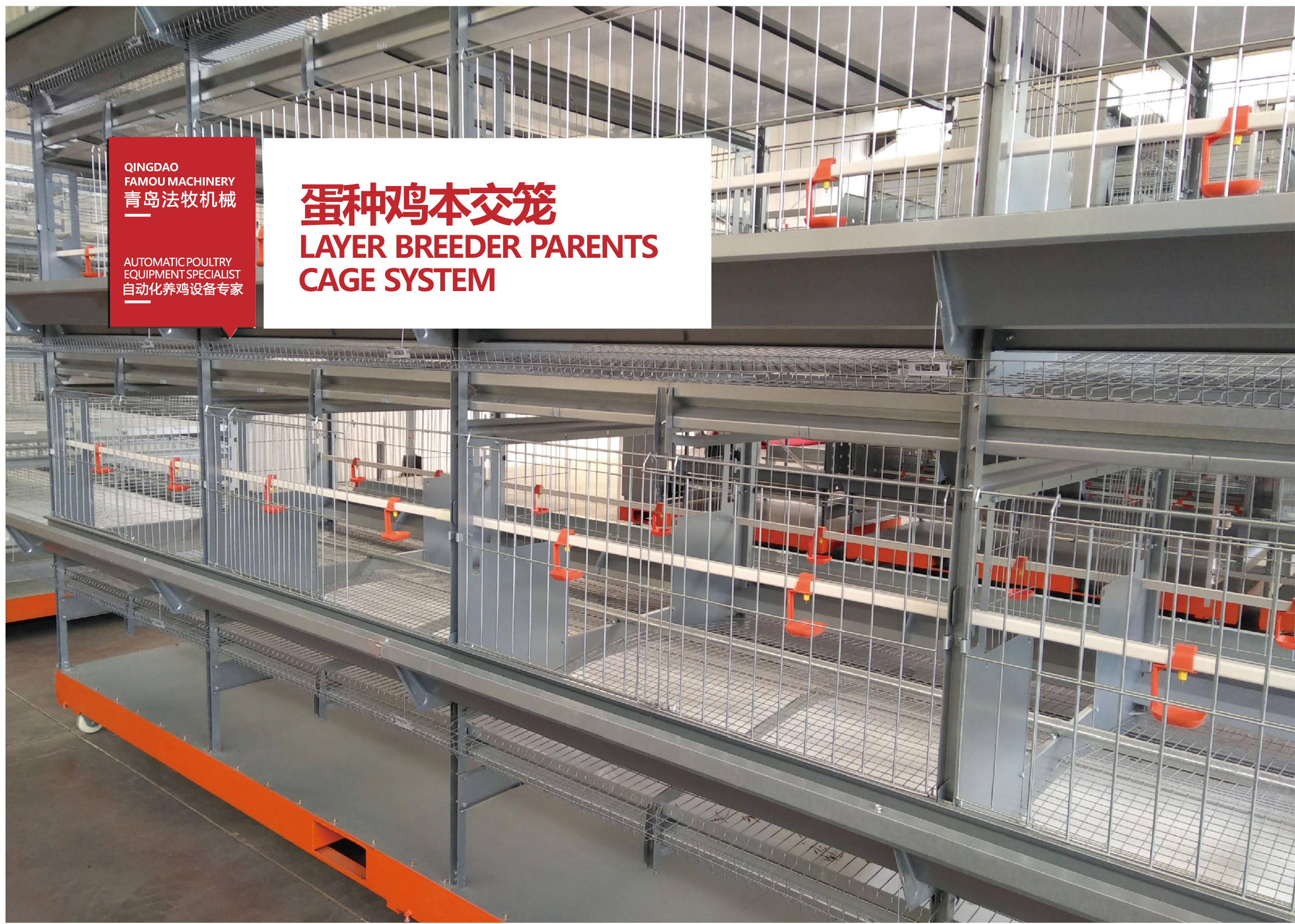 蛋种鸡本交笼.jpg 蛋种鸡本交笼.jpg